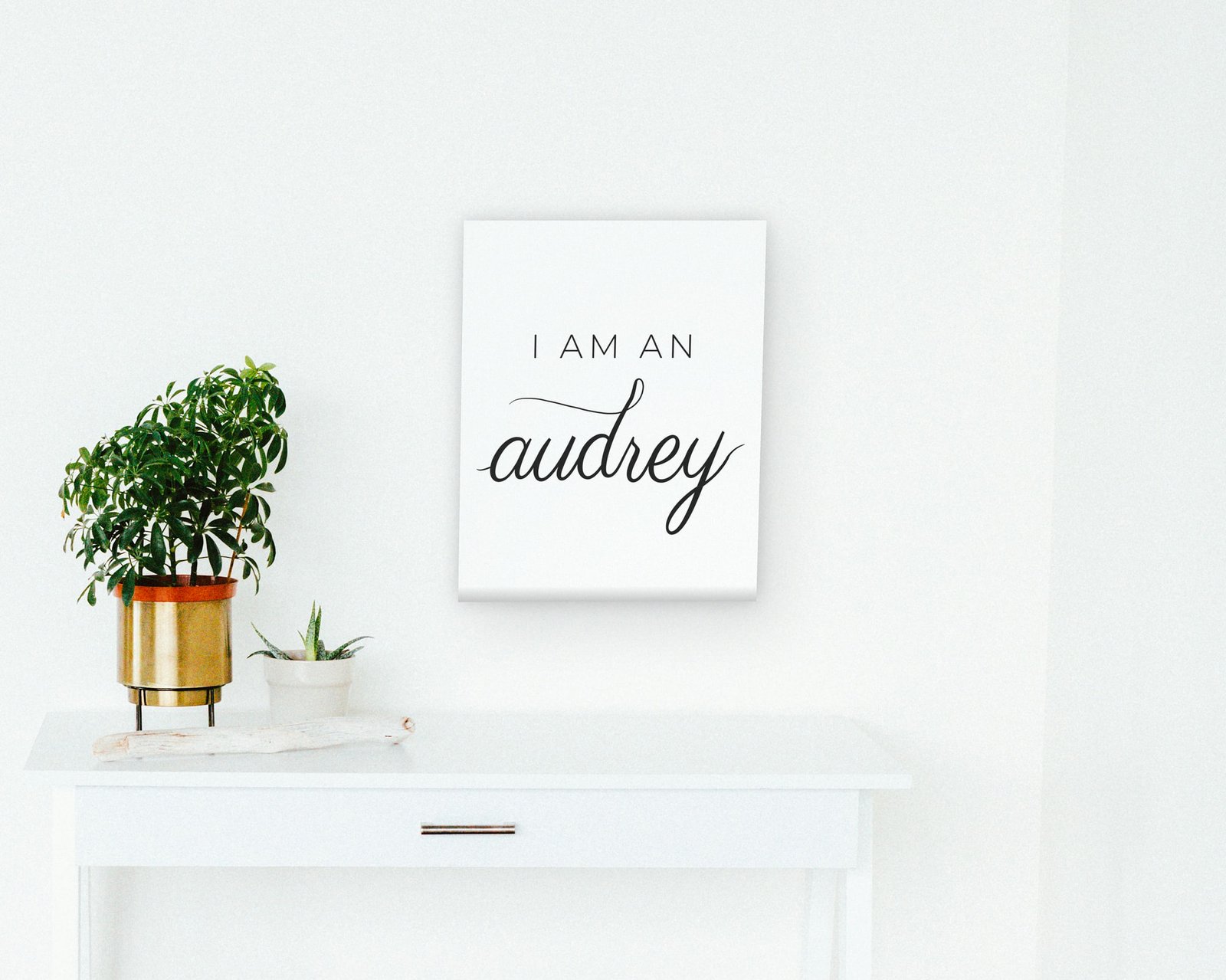 I Am An Audrey, Gallery canvas in a hallway and entry