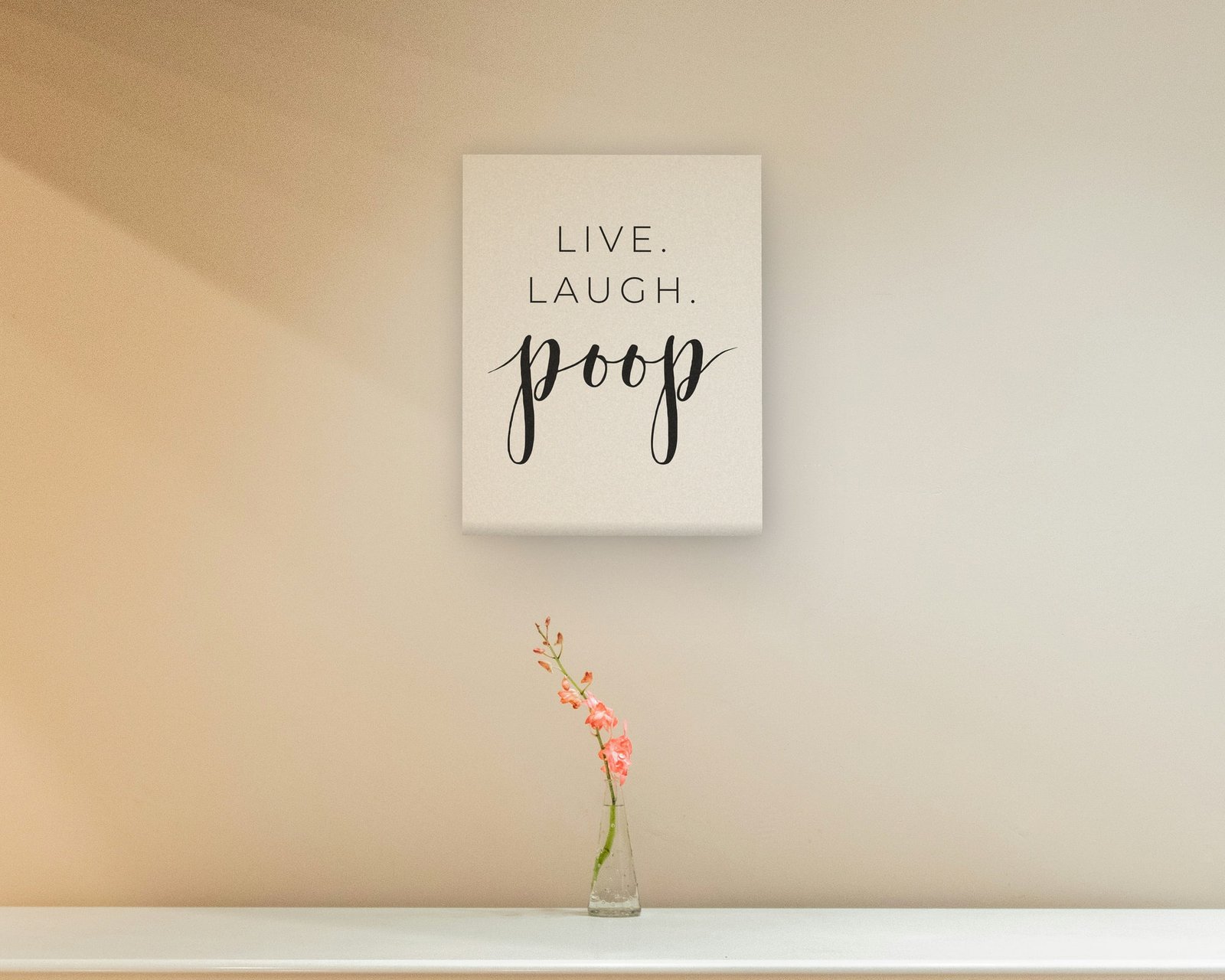 Live. Laugh. Poop., Gallery canvas in a hallway and entry