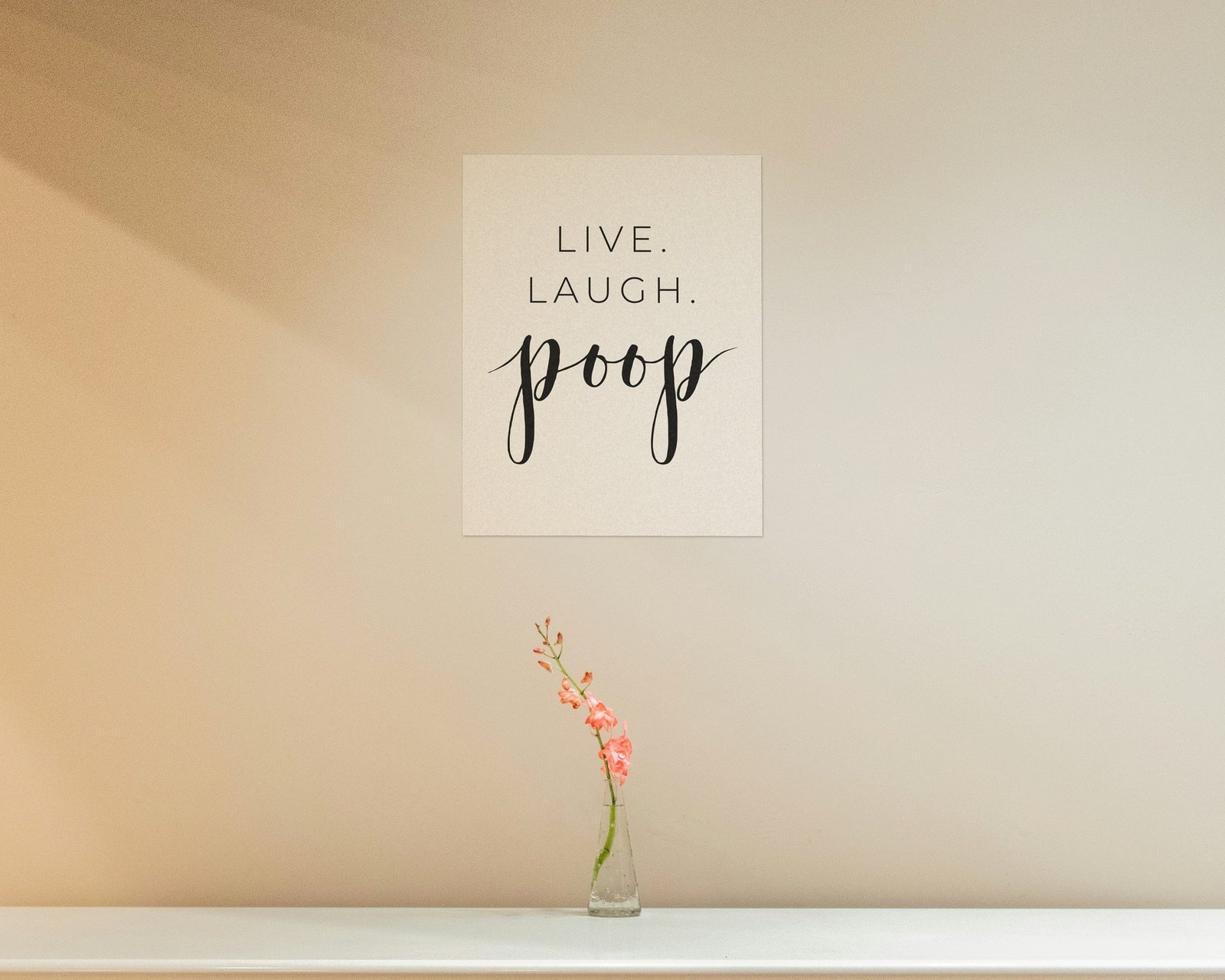 Live. Laugh. Poop., Bare print in a hallway and entry