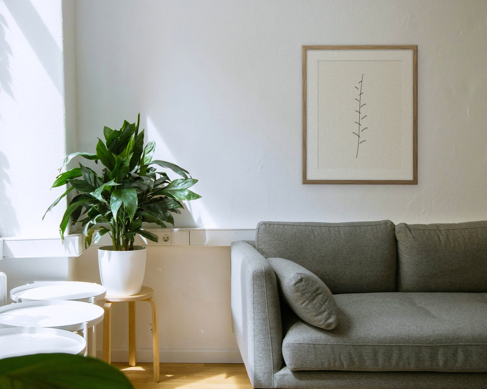 Line Botanical Printable Wall Art, Framed in a living room
